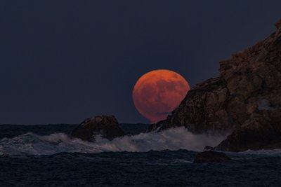 The coastal moon_small.jpg