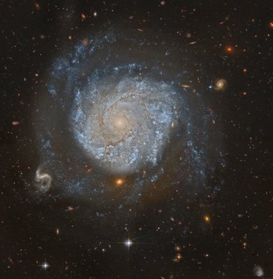 NGC 1309 - Domingo Pestana_small.jpg