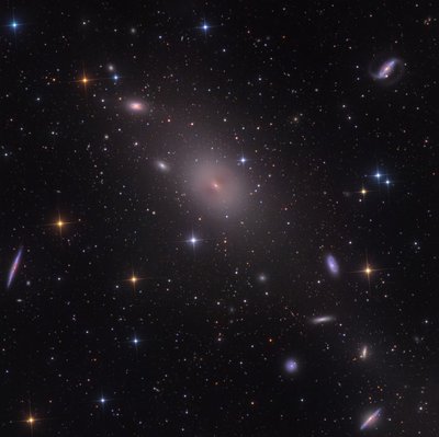 NGC4365.jpg