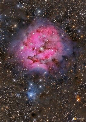 IC 5146 Inside The Cocoon Nebula