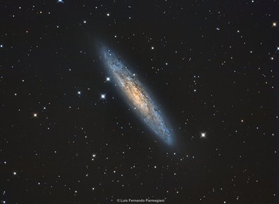 NGC 253 - Sculptor Galaxy