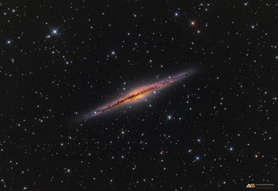 NGC_891_Web.jpg