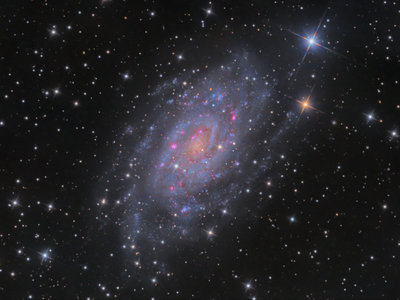 NGC2403