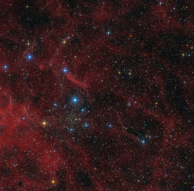 IC1311.jpg