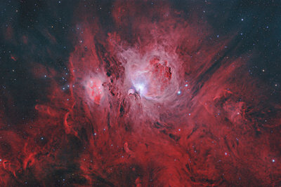 M42-Region-DWillasch.jpg