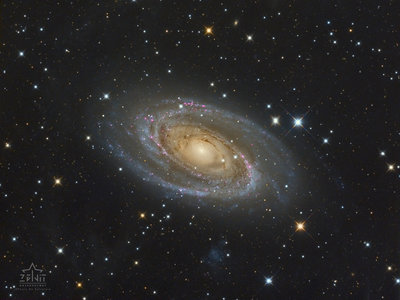 M81 adobe RGB web.jpg