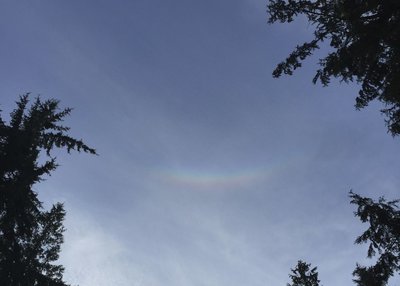 Circumzenithal Halo - Redmond, 4 April 2016 0050 UT.JPG