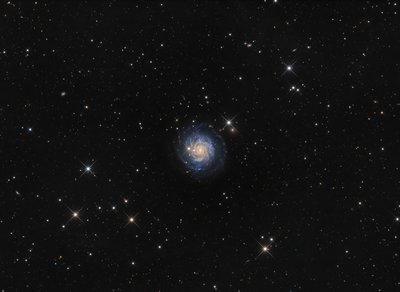 NGC3344.jpg