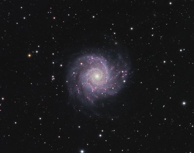 m74.jpg