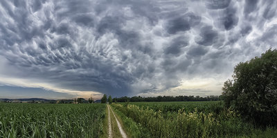 Mammatus cloud 2