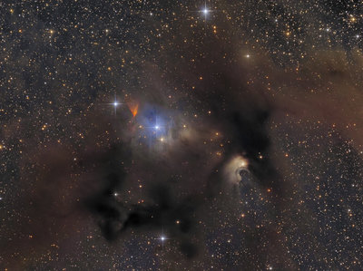 Marsupilami nebula :-)
