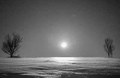 Moon-Pong-Alps-Trees-France.jpg