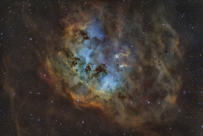 Tadpole nebula.jpg