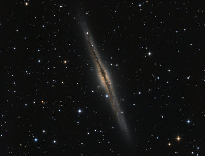 ngc891.jpg