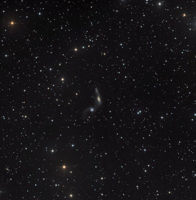 NGC2992.jpg