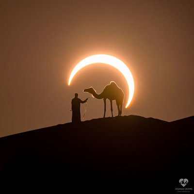 EclipseCamel_Cripps_960.jpg