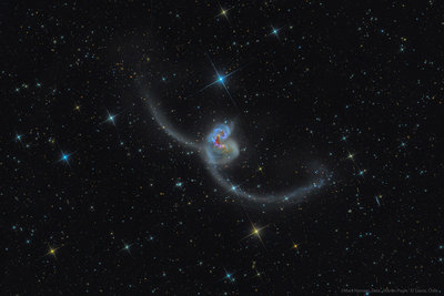 NGC-4038-4039small2.jpg