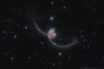 NGC-4038-39WHAsmall2.jpg