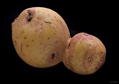 PotatoPod_Sutton_960.jpg