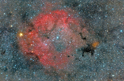 IC 1396 by Mario Richter.png