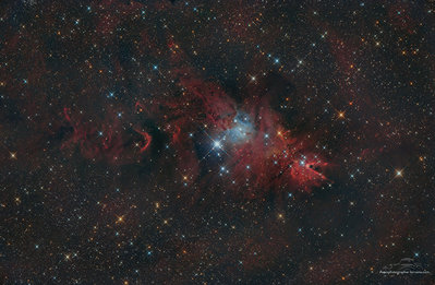 Cone_Nebula1.jpg