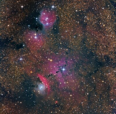 NGC 6559.jpg