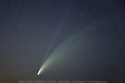comet_neowise17a[1].jpg