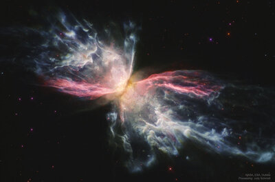 Butterfly_HubbleSchmidt_1080.jpg