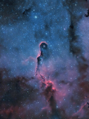 IC1396_Chad_Leader1208.jpg