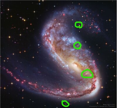 Background galaxies behind NGC 2442