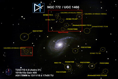 NGC 772 And Neighbors