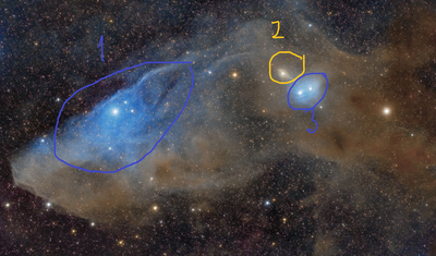 Nebulas in the Blue Horse.png