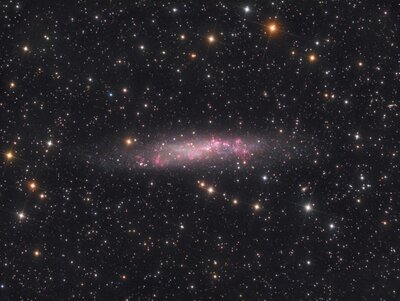 NGC3109.jpg