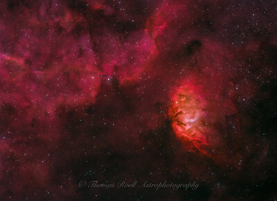 Tulip_Nebula_42_frames_600s_DZ10_DZ85_LNC23-St starnet.jpg
