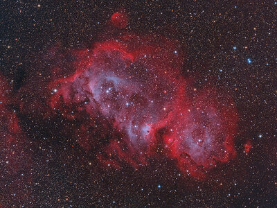 IC1848_web.jpg