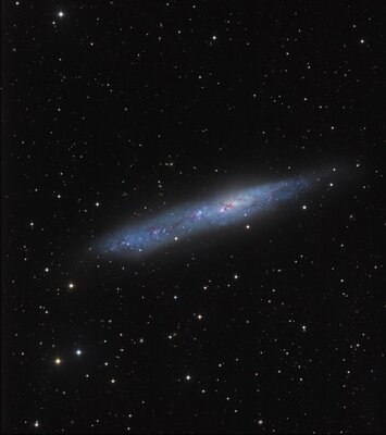 NGC55.jpg