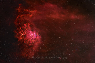 Flaming_Star_Nebula_33_frames_300s_iso3200_115_6D_Lenhance-Starnetpps.jpg