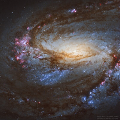 M66_Hubble_LeoShatz_Crop1024[1].jpg