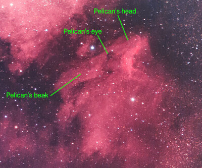 Liron Gertsman’s Pelican Nebula with annotations