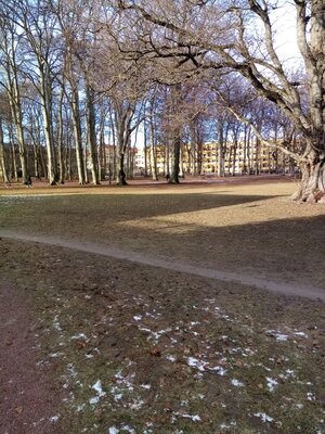 Hardly any snow in the park.jpg