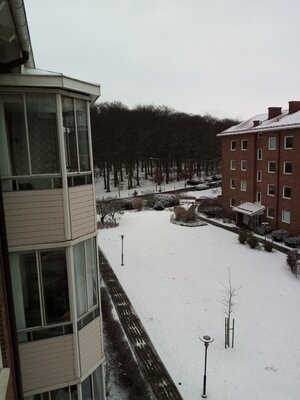 A little bit of snow on February 16 2021.jpg