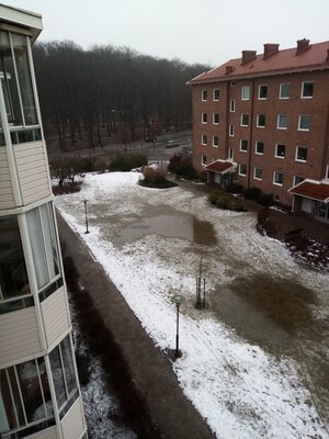 Pools of rain water on the frozen ground.jpg