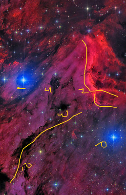 Ann's Pelican Nebula, Flipped and Rotated to Best See the Pelican