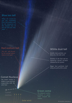 Neowise3Tails_Lefaudeux_960_annotated.jpg