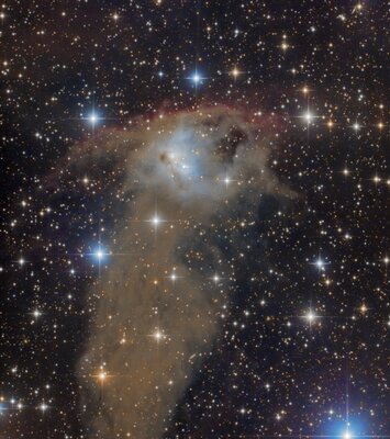 NGC 1788  .jpg