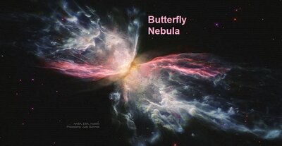 Butterfly_HubbleSchmidt_1080.jpg