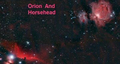 horseheadorion_martin.jpg