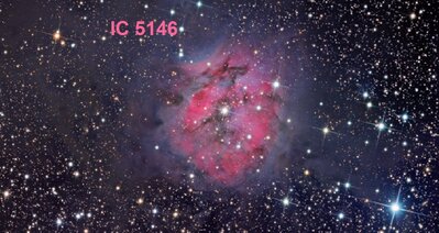 IC5146_fleming_c800.jpg