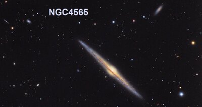 NGC4565_hager900.jpg