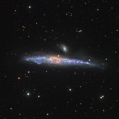 NGC4631_crop_rs800px_q9.jpg
